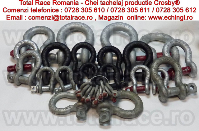 Chei  tachelaj, chei tachelaj omega, gambeti Total Race