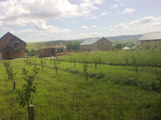 15 Km de Iasi, Romania! Casa+1683mp curte