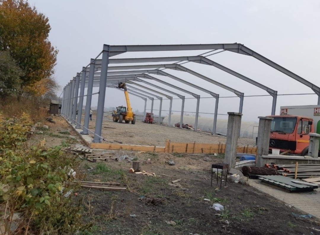 Vand structura metalica 10x20x4